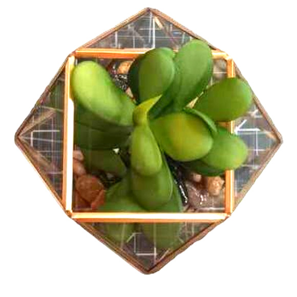 Set of (2) 5" x 4" Artificial Succulent Plant with Brass Terrarium - Opalhouse - Picture 7 of 8